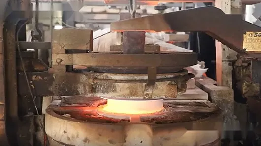 Materia Prima