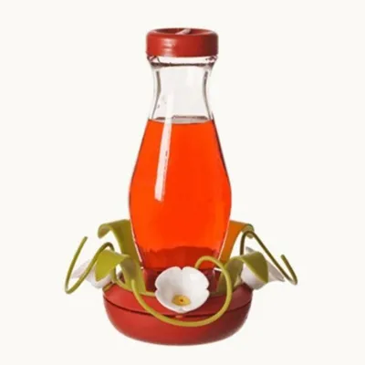 Comederos para aves de vidrio