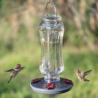 Comederos para aves de vidrio