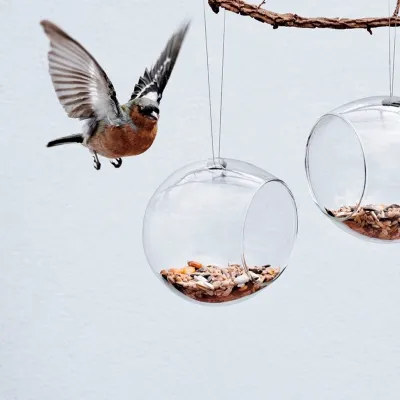 Comederos para aves de vidrio