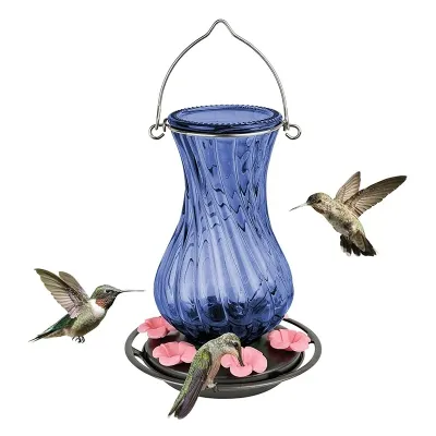 Comederos para aves de vidrio